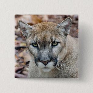 Cougar, mountain lion, Florida panther, Puma Pinback Button