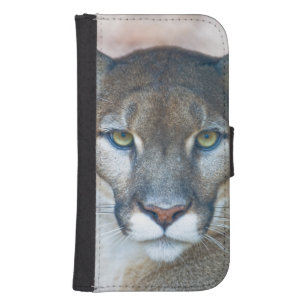 Cougar, mountain lion, Florida panther, Puma Phone Wallet