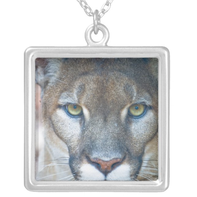 Cougar, mountain lion, Florida panther, Puma Silver Plated Necklace (Front)