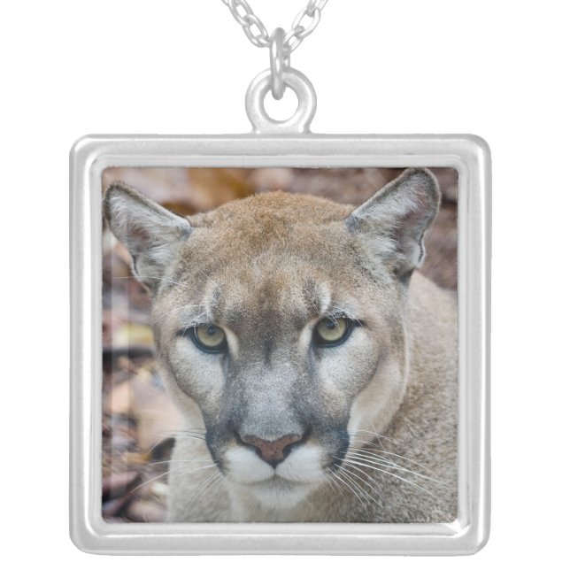 Cougar, mountain lion, Florida panther, Puma Silver Plated Necklace (Front)