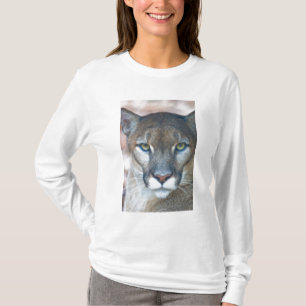 Cougar, mountain lion, Florida panther, Puma T-Shirt