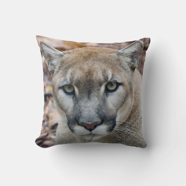 Cougar, mountain lion, Florida panther, Puma Throw Pillow (Front)