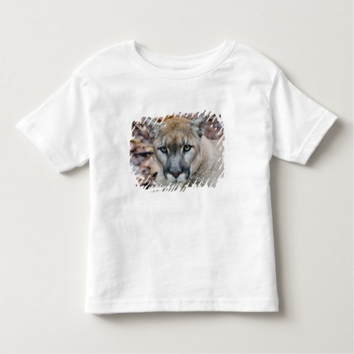 Cougar mountain lion Florida panther Puma Toddler T_shirt