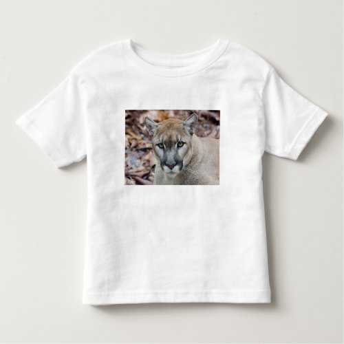 Cougar mountain lion Florida panther Puma Toddler T_shirt