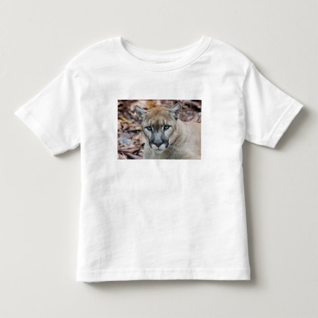 Cougar, mountain lion, Florida panther, Puma Toddler T-shirt (Front)