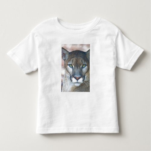 Cougar mountain lion Florida panther Puma Toddler T_shirt
