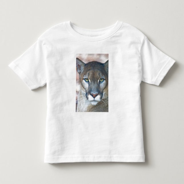 Cougar, mountain lion, Florida panther, Puma Toddler T-shirt (Front)