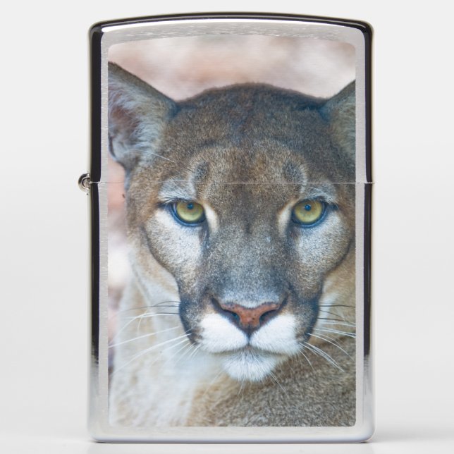 Cougar, mountain lion, Florida panther, Puma Zippo Lighter (Front)