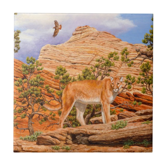 Cougar Mountain Lion In Zion National Park Ceramic Tile (Front)