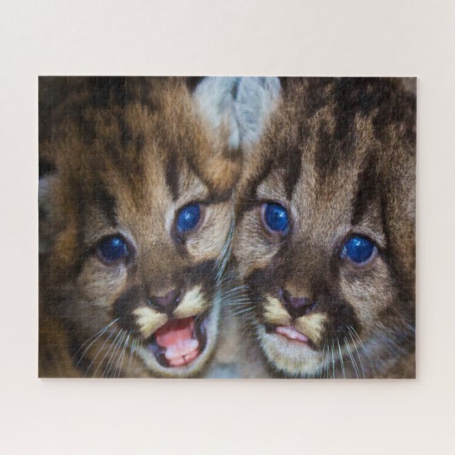 Cougar Mountain Lion. Jigsaw Puzzle (Horizontal)