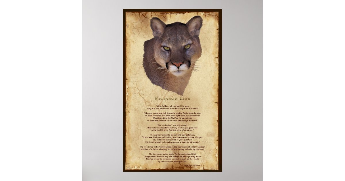 cougar mountain lion native american wisdom poster e baby announcements free
