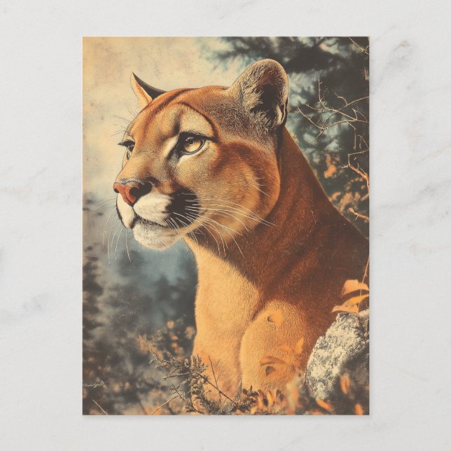 Cougar Mountain Lion Portrait postcard (Front)