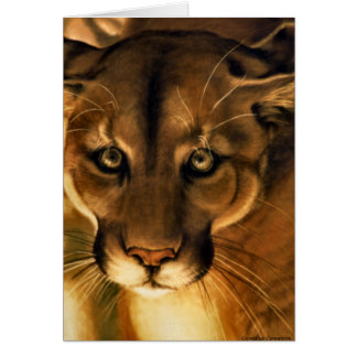 Cougar - Mountain Lion - Puma Cards