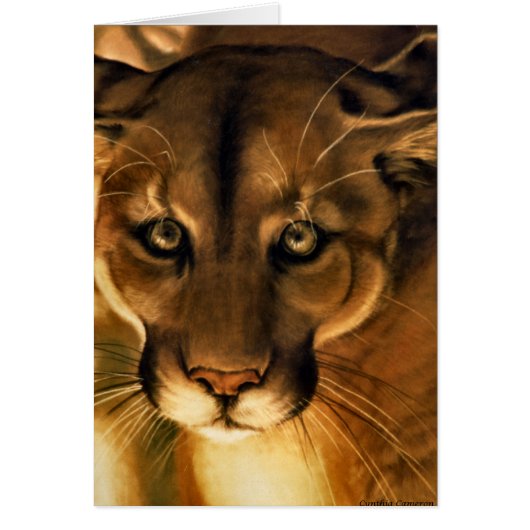 Cougar - Mountain Lion - Puma Cards (Front)