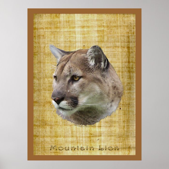 COUGAR, MOUNTAIN LION, PUMA Poster