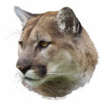 COUGAR MOUNTAIN LION (sculpted) Wildlife Gift Statuette<br><div class="desc">For Animal-lovers everywhere!  This very cool image featuring the handsome face of a Mountain Lion (Cougar),  makes a fab Magnet!

25% of royalties from each sale made,  is donated to Defenders of Wildlife at: www.defenders.org</div>