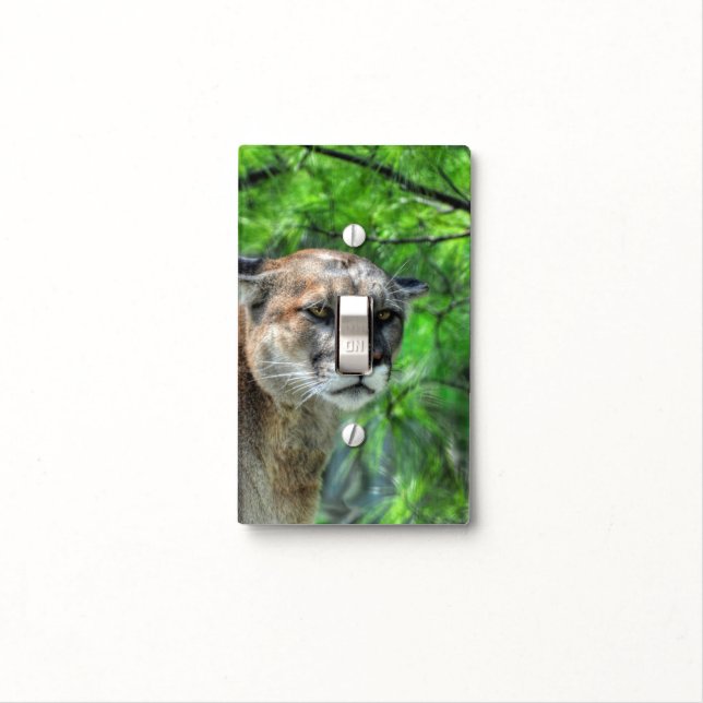 Cougar Mountain Lion & Summer Pine Wildlife Image Light Switch Cover (In Situ)