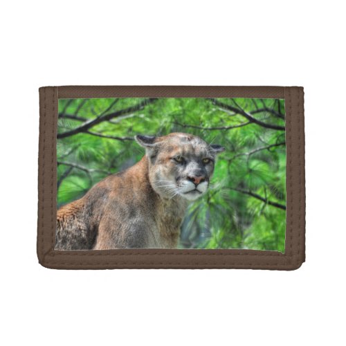 Cougar Mountain Lion  Summer Pine Wildlife Image Tri_fold Wallet