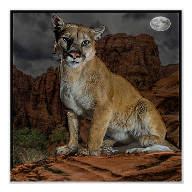 cougar mountain poster (Front)