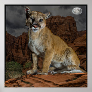 cougar mountain poster
