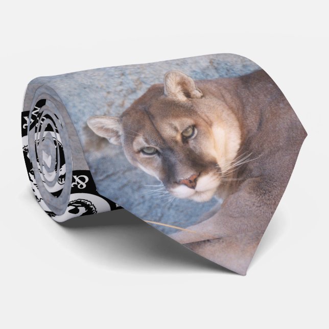 Cougar Neck Tie (Rolled)
