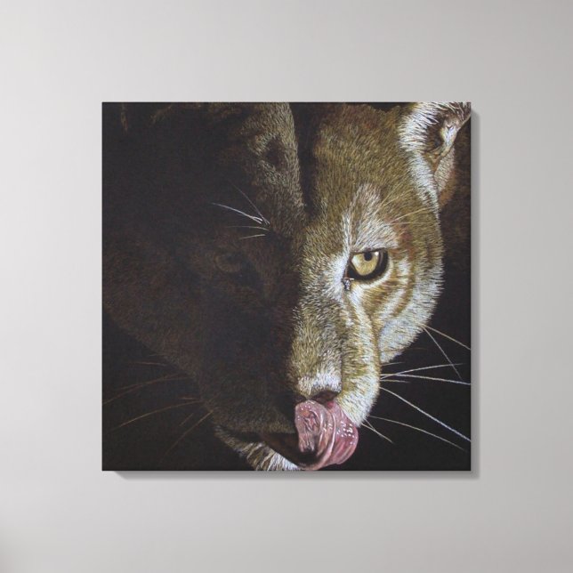 Cougar Night Canvas Print (Front)