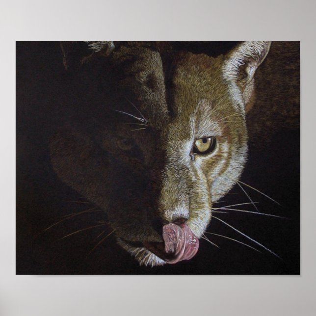 Cougar Night Poster (Front)