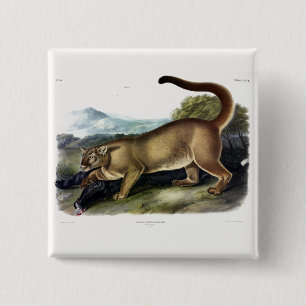 Cougar, or Puma, Panther, Mountain Lion, Catamount Button