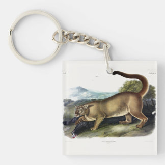 Cougar, or Puma, Panther, Mountain Lion, Catamount Keychain