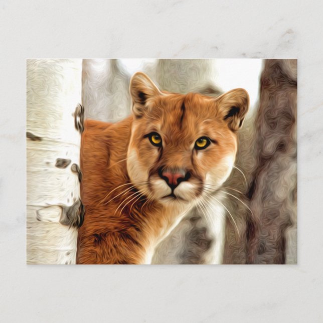 Cougar Photo Painting Postcard (Front)