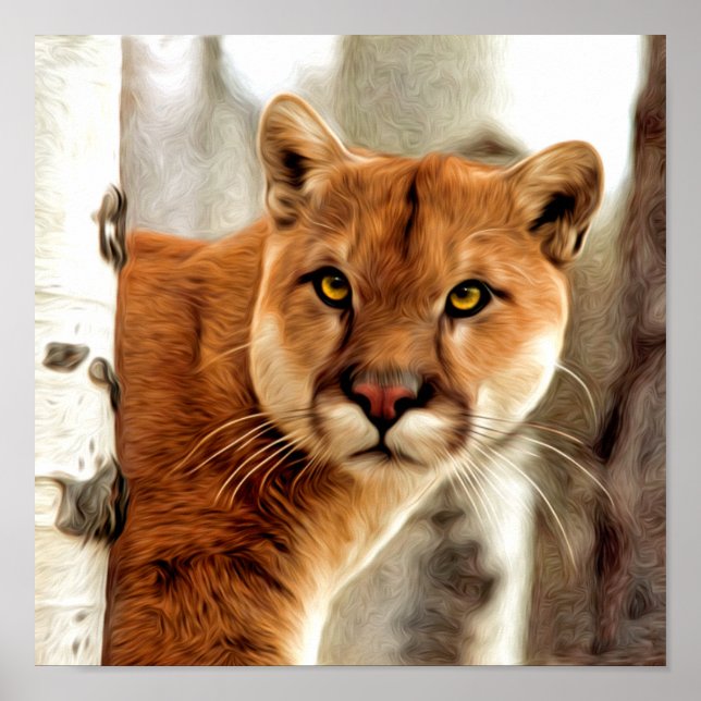 Cougar Photo Painting Poster (Front)