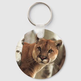 Cougar Photograph Keychain