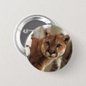 Cougar Photograph Pinback Button (Front & Back)