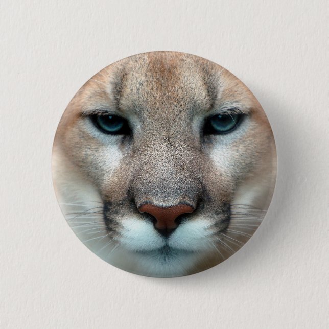 COUGAR PINBACK BUTTON (Front)