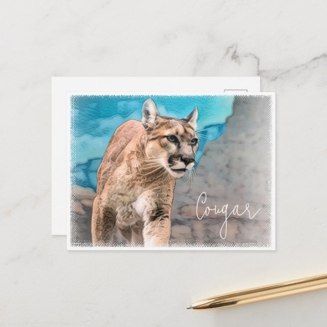 Cougar Postcard (Front/Back In Situ)