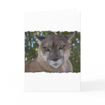 Cougar Pounce Greeting Card