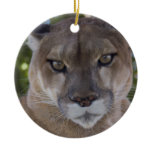 Cougar Pounce Ornament