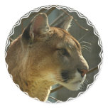 Cougar Puma Stickers