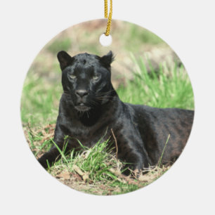 Cougar Rest Ornament