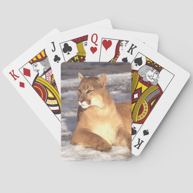 Cougar Rest Poker Cards (Back)