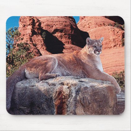 Cougar Resting on Rock - Mouse Pad