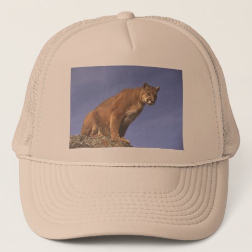 Cougar Watch Trucker Hat