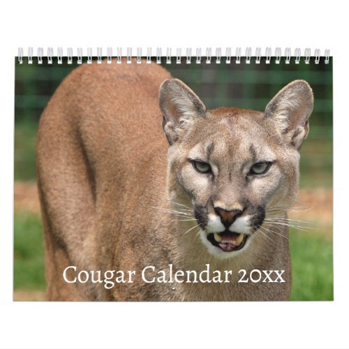 Cougar Wild Cat Calendar