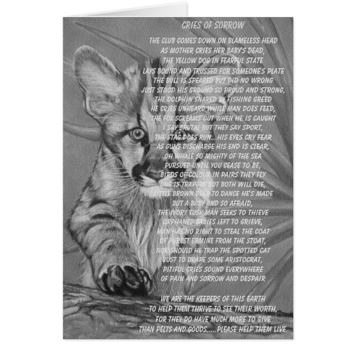 cougar wildlife picture stop animal suffering poem