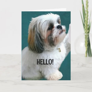 COULD NOT WAIT TO SAY *HAPPY BIRTHDAY* CARD