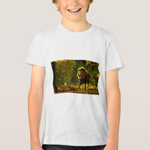 Could you clarify what type of title you're lookin Tri-Blend shirt