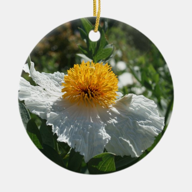 Coulter's Matilija Poppy Ceramic Ornament (Front)