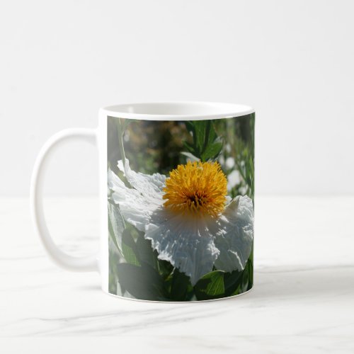 Coulters Matilija Poppy Coffee Mug