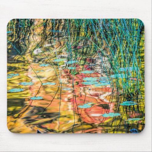 Council Lake in Hiawatha National Forest Michigan Mouse Pad