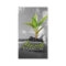 Counseling, Therapist, Spiritual, Life Coach,